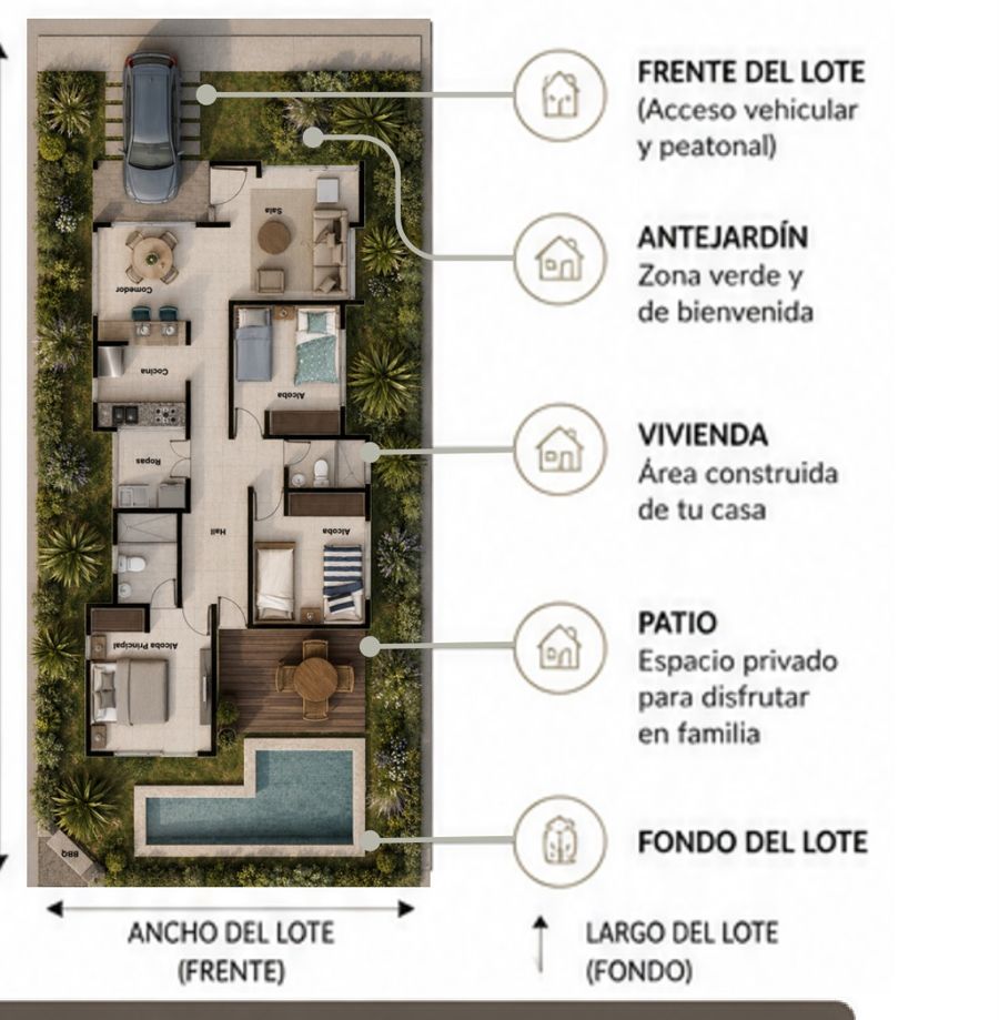 Distribución del lote: frente, antejardín, vivienda, patio y fondo